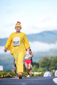 BIB: 
                            <button type="button" onclick="openModal(26542648)" class="btn btn-primary btn-sm float-right btn-popup" data-toggle="modal" data-target=".modal-high-quality">
                        <i class="fas fa-shopping-cart"></i> Add to Cart
                    </button>
                                            <button type="button" onclick="isThisMe(26542648, true)" class="btn btn-success btn-sm float-right btn-popup btn-isme hidden" data-toggle="tooltip" data-placement="bottom" title="นี่คือรูปของคุณใช่ไหม คลิกที่นี่เพื่อเอาเข้าอัลบั้ม">
                        <i class="fas fa-plus"></i> Add to album
                    </button>
                    <button type="button" onclick="isThisMe(26542648, false)" class="btn btn-warning btn-sm float-right btn-popup btn-isnotme hidden">
                        <i class="fas fa-ban"></i> Remove from album
                    </button>